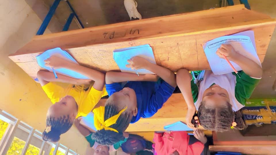 School Life Activities